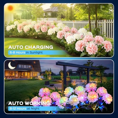 2 Pack Solar Garden Lights Outdoor, LED Colorful Waterproof Solar Powered Hydrangea Flowers Landscape Lights for Patio, Outside Yard, Pathway Decorative, Décor, Two Lighting Modes - Image 4