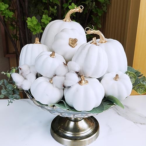 Winlyn 10 Pcs Assorted White Artificial Pumpkins Harvest White Pumpkins Decorative Pumpkins Foam Rustic Fall Pumpkins for Autumn Fall Wedding Thanksgiving Halloween Props Home Seasonal Mantel Décor - Image 5