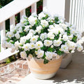 HyeFlora Artificial Fake Flowers Plants for Outdoor Outside Spring Decoration, Faux Silk White Camellia UV Resistant Realistic for Front Door Porch Planter Pot Patio Balcony, 3 Large Bundles by HyeFloraartificialflowers