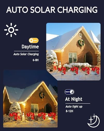 2 Pack Solar Christmas Flower Lights-IP65 Waterproof XS Pathway Lights - Image 4