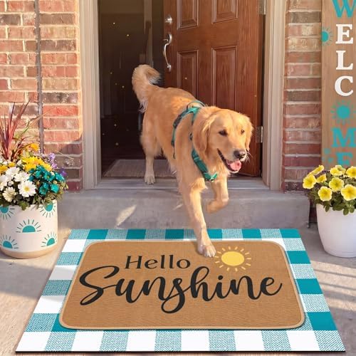 Tinideya 2 Pcs Hello Sunshine Layered Door Mat Outdoor - Image 6