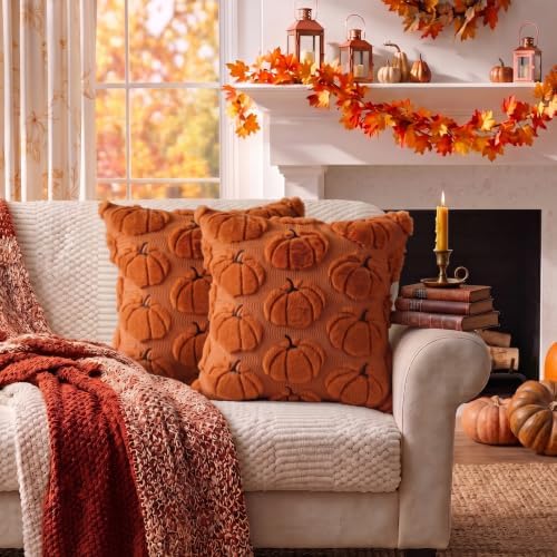 Fall Pillow Covers Pumpkin Fall Decor 20x20 Set of 2 Caramel - Image 6
