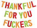 Thanksgiving Decorations, Friendsgiving Decorations, Glittery Thanksgiving Friendsgiving Banner for Mantel Font Porch, TFYF Thankful for You Fall Party Decorations for Indoor Home (Pre-Assembled)TFYFTZ by Deneo