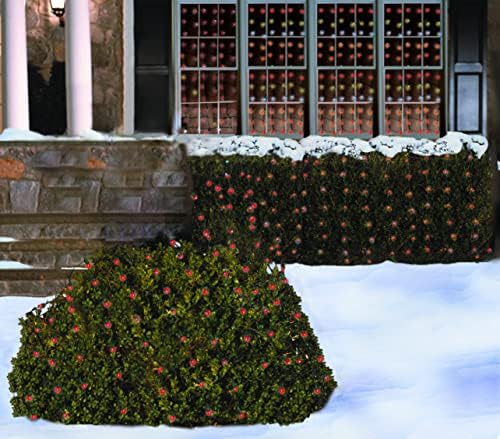 Christmas Light Net – 150 LED Red Mesh Lights - 4 ft x 6 ft – Outdoor/Indoor – Net Lights for Bushes, Hedges or Trees - Image 2