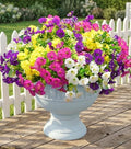 Artificial Fall Flowers Fake Plants for Outdoors Decor, 12 Bundles Silk Morning Glory with Eucalyptus Realistic UV Resistant Faux Flowers for Outside Planter Porch Yard Patio Garden Home Indoor, Mix by Ivydale