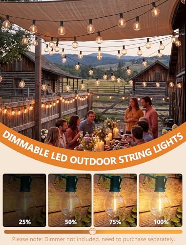 25FT LED Outdoor Christmas String Lights Waterproof, Hanging G40 Globe Patio Lights with 27 LED Shatterproof Warm White Bulbs, Outdoor Christmas Decorations Light for Wedding Party Backyard, Green - Image 3