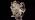 12 in 1 Halloween Ghost Projector Light Waterproof Outdoor Decor - Image 7