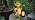 Solar Turtle Garden Statue, Resin Figurine with Hanging Solar Lantern Outdoor Statues for Patio (Turtle 1) - Image 7