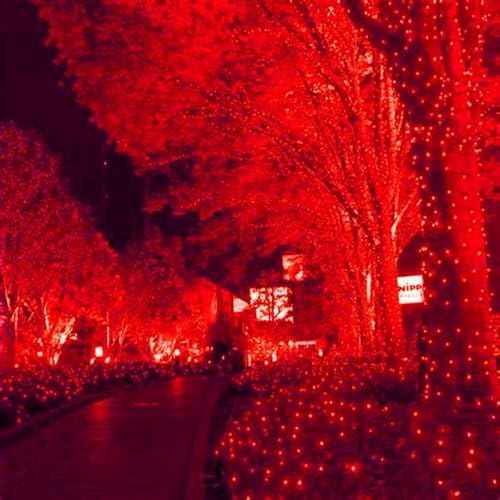 HISHINY LED Red Christmas Net Lights Outdoor,6ftx6ft 144LED Green Wire, Connectable Indoor Outdoor Bush Mesh Net Lights String for Valentines Day Decor,Shrub,Yard,Tree（Red） - Image 4