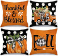 GEEORY Fall Pillow Covers 18 x 18 Inch Set of 4, Polka Dots Buffalo Bow-Knot Pumpkins Truck Thankful Thanksgiving Decor Decorative Throw Cushion Cases Decoration for Home Sofa Couch (Black) G405-18 by GEEORY