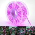 100ft Rope Lights For Outside,Connectable & Flexible Tube Lights with 8 Modes Controller,Waterproof Purple LED Rope Lighting for Deck,Garden,Pool,Patio,Bedroom,Party,Indoor & Outdoor Landscape Light by CHORLED