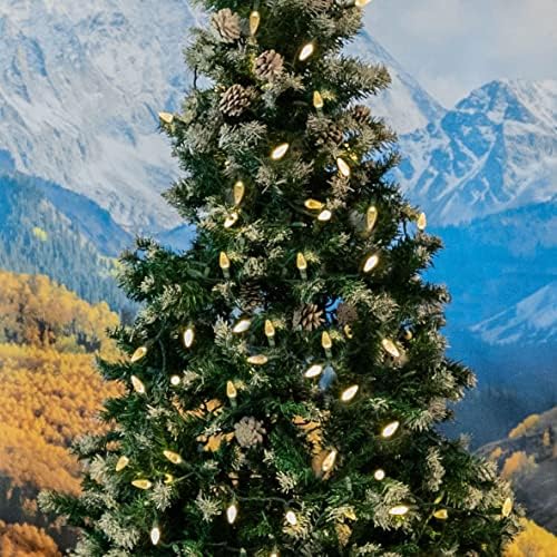 Novelty Lights 24FT 70 LED C6 Christmas Lights, Warm White, Green Wire - Image 4