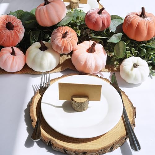 Winlyn 16 Pcs Assorted Artificial Velvet Pumpkins Blush Coral Pink Peach Cream Decorative Fabric Foam Pumpkins for Fall Wedding Baby Shower Thanksgiving Pastel Halloween Wreath Table Décor - Image 4