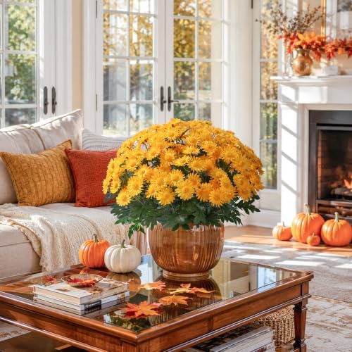 HyeFlora Artificial Fall Faux Mums Flowers Outdoor Plants for Decoration, 6 Bundles Fake Silk Yellow Gerbera Daisy Flowers UV Resistant Look Real for Planter Outside Front Door Porch Patio Balcony - Image 6