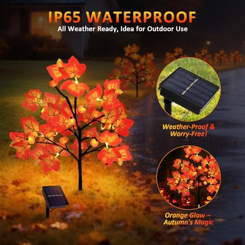 Lmtocs 4 Packs Solar Fall Thanksgiving Decorations Outdoor, 80LED Maple Leaf Pumpkin Fall Lights for Outdoor Fall Decorations, Waterproof Thanksgiving Lights for Yard, Pathway Harvest Decor - Image 2