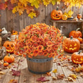 16 Bundles Artificial Mums Flowers for Outdorors, UV Protected No Fade Fall Flower for Porch Display Patio Garden Decor Autumn Thankgiving Halloween Decorations (Orange) by AWARDSEN