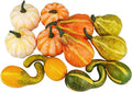 12Pcs Lifelike Simulation Realistic Mixture of Artificial Pumpkins Fake Vegetable Fruit for Home Decoration by JEDFORE