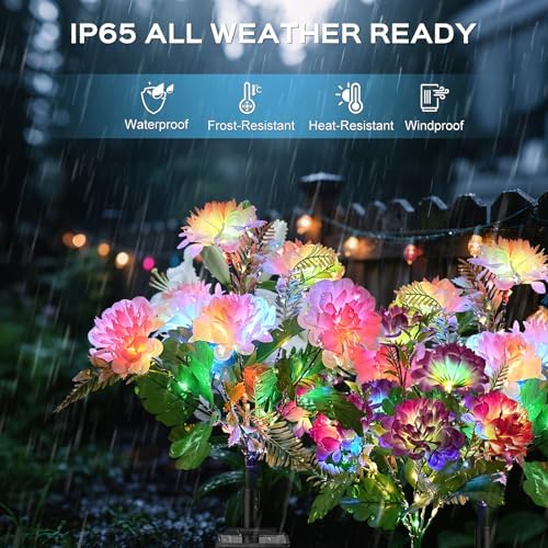 2 Pack Solar Garden Lights Outdoor, LED Colorful Waterproof Solar Powered Chrysanthemum Flowers Landscape Lights for Patio, Outside Yard, Pathway Decorative, Décor, Gifts, Two Lighting Modes - Image 5