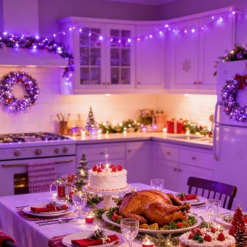LAMPHOME Halloween Lights, 99ft 300LED Light Purple String Lights, Clear Wire 16 Modes LED Waterproof Indoor Outdoor Purple Christmas Lights Plug in, Halloween Bedroom Garden Party Decor - Image 7