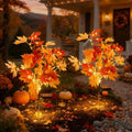 Fall Solar Lights Outdoor Decorative,Maple Leaf Stakes Lights, 2Pack by JOHUNT