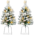 Best Choice Products Set of 2 24.5in Outdoor Flocked Scotch Pine Pathway Christmas Trees, Battery Operated Pre-Lit Holiday Décor w/LED Lights by BestChoiceProducts
