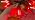 25Ft Halloween LED String Lights Outdoor with 25 ST38 Red Blood Drop Lights, Connectable Halloween Patio Lights for Indoor Outdoor Backyard Garden Halloween Christmas Party Decor - Image 7