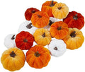 Winlyn Set of 16 Assorted Faux Small Rustic Harvest Decorative Pumpkins Velvet Fabric Foam Pumpkins in Rust Orange White for Farmhouse Fall Wedding Thanksgiving Centerpiece Table Mantel Décor by Winlyn