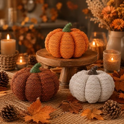 MEETYAMOR Fall Pumpkin Decor, 3 PCS Resin Pumpkins Figurines for Fall Decor, Rustic Knit Textured Pumpkins Fall Decorations for Home, Shelf, Table Centerpieces, Autumn, Thanksgiving Decor by MEETYAMOR