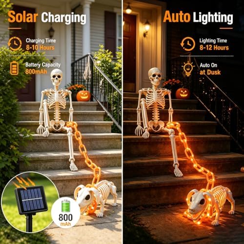 3Ft Skeleton & Dog Skeleton with Light Chain, Outdoor Halloween Decorations - Image 2