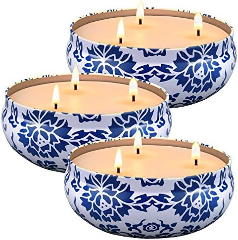 Hausware Citronella Candles Outdoor & Indoor - Large 13.5 oz Scented Candles Set 3 Pack Natural Soy Wax citronella Candles for Garden Patio Yard Home Balcony Camping Backyard (Light Blue) by Hausware+Candles