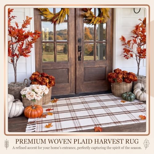 Breling Fall Outdoor Rug 28" x 43" Beige Plaid Door Mat with Tassels - Image 6