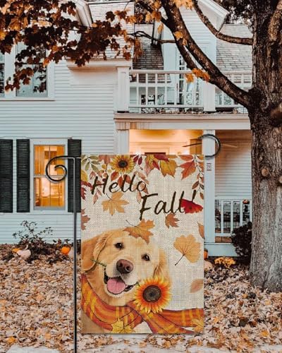 Hello Fall Golden Retriever Dog Garden Flag 12x18 Inch Double Sided for Outside Autumn Seasonal Holiday Yard Outdoor Decoration Flag - Image 5