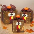[Timer & 8 Modes]３Pack Thanksgiving Decorations Turkey Lighted Gift Boxes with 3D Pumpkin 60 LED Lights Glitter Tinsel Battery Operated Thanksgiving Outdoor Light Up Present Boxes for Home Yard Decor by TURNMEON