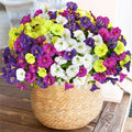 12 Bundles Artificial Flower for Outdoor Colorful Outdoor Fake Silk Flower by AlynsehomCreateaBetterLife