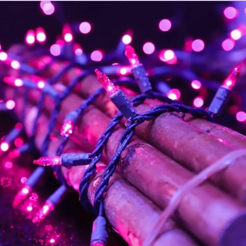 LAMPHOME Halloween Purple String Lights, 100 Mini Fairy Lights Set, Brown Wire 20Ft Traditional Halloween Holiday Décor for Home, Christmas Tree, Bedroom, Patio, Wedding - Image 6