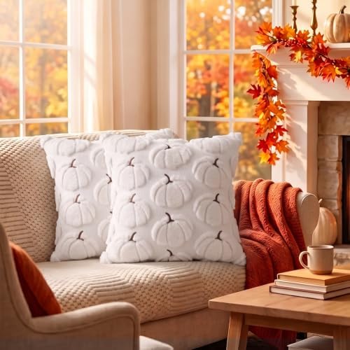 Fall Pillow Covers Pumpkin Fall Decor 18x18 Set of 2 White - Image 4
