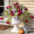 Ammyoo Artificial Fall Flowers Fake Petunias Plants for Outdoor Decoration by Ammyoo
