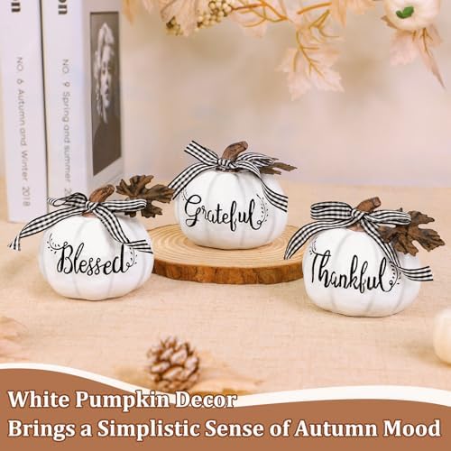 Fall Decorations for Home Set of 3 White Fall Pumpkin Decorations Indoor - Image 5