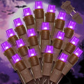 LAMPHOME Purple Halloween Lights, 21.6FT100 LED Halloween String Lights, Waterproof & Connectable Mini Christmas Light, Plug in for Indoor Outdoor Holiday Christmas Party Bedroom Decorations by ULL