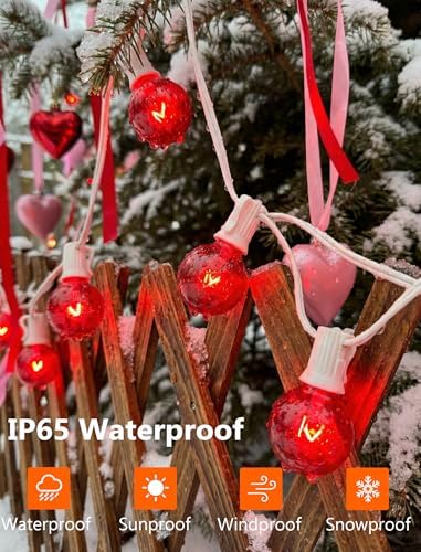 G40 Valentine’s Day Red Globe String Lights, 25Ft Outdoor Valentines Day Decorations Lights with 27 Incandescent Red Bulbs, Hanging Christmas Lights Waterproof for Patio Wedding Party Garden Balcony - Image 3