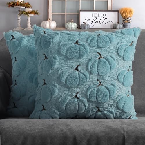 Fall Pillow Covers 20x20 Set of 2 Light Blue Pumpkin Decorations for Home by 4THEmotion