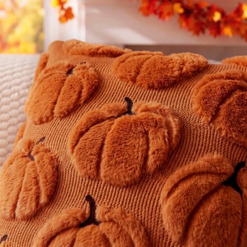 Fall Pillow Covers Pumpkin Fall Decor 20x20 Set of 2 Caramel - Image 2