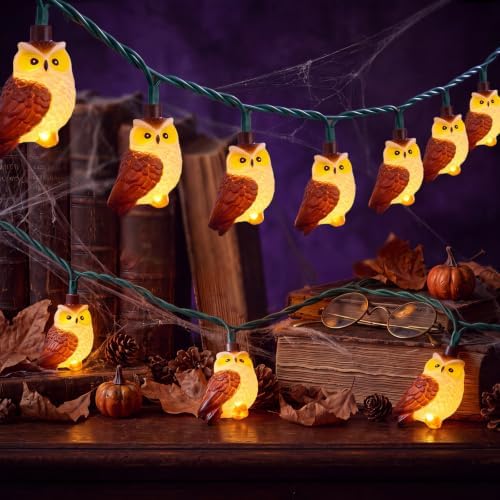 8.5FT 10 LED Halloween Owl String Lights Outdoor Waterproof Green Wire | Hanging Halloween Owl Decorations Lights, Plug in Bird String Lights for Patio Window Fall Garden Porch Backyard and Tree by Goothy