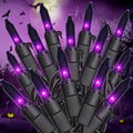 Hopolon Purple Halloween Mini Lights, 2 Pack 50 Count 13FT Black Wire by Hopolon