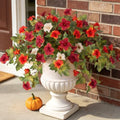 Ammyoo Artificial Fall Flowers Fake Petunias Plants for Outdoor Decoration by Ammyoo