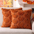 Fall Pillow Covers Pumpkin Fall Decor 20x20 Set of 2 Caramel by Unknown