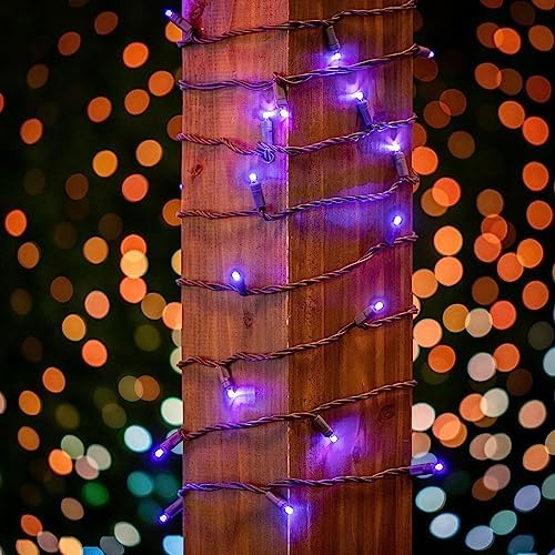Novelty Lights 25ft 50 LED Purple Christmas String Lights on Brown Wire - Image 3