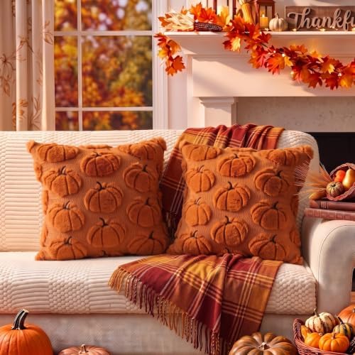 Fall Pillow Covers Pumpkin Fall Decor 20x20 Set of 2 Caramel - Image 7