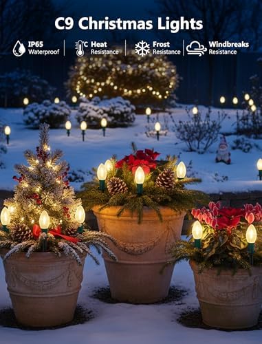38FT LED Outdoor Christmas Pathway Lights,25 Warm White Extendable Waterproof Christmas Walkway Lights with C9 LED Bulbs and Stakes for Walkway Backyard Snowfield Xmas Decorations - Image 5