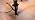 Joiedomi Christmas C9 Pathway Lights Outdoor Decorations 24 Packs, 30.75ft Xmas Warm White Pathway Marker String Lights for Holiday Waterproof Outside Yard Garden, Party, Walkway Decor - Image 7
